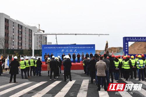 永州国际农副产品智慧冷链商贸产业园配套道路工程正式开工建设