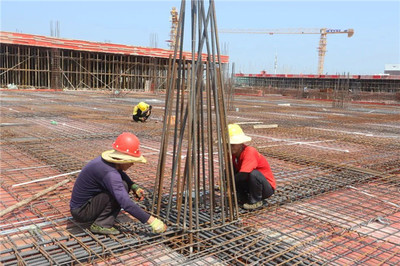 全球唯一生产线落子园区 这家“硬核”企业如何重塑产业版图？